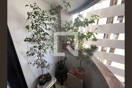 Apartamento à venda com 3 quartos, 78m² em Vila Congonhas, São Paulo