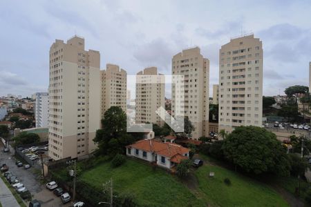 Vista do Quarto 1 de apartamento à venda com 2 quartos, 38m² em Sítio do Mandaqui, São Paulo
