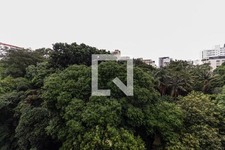 Vista da Sala de apartamento à venda com 3 quartos, 219m² em Higienópolis, São Paulo