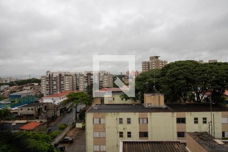 Vista do Quarto 1 de apartamento para alugar com 2 quartos, 51m² em Butantã, São Paulo