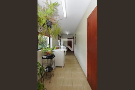 Apartamento à venda com 278m², 3 quartos e 3 vagas Apartamento à venda com 278m², 3 quartos e 3 vagasÁrea de Serviço