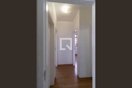 Corredor de apartamento à venda com 3 quartos, 84m² em Santa Efigênia, Belo Horizonte