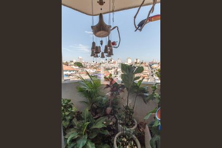 Sala - Varanda de apartamento à venda com 3 quartos, 73m² em Vila Ede, São Paulo