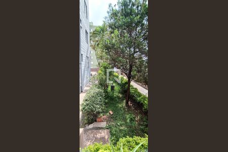 Jardim de apartamento para alugar com 2 quartos, 60m² em Jardim Umuarama, São Paulo