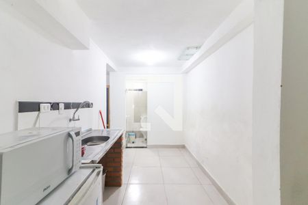 Cozinha de apartamento para alugar com 1 quarto, 45m² em Vila Indiana, São Paulo