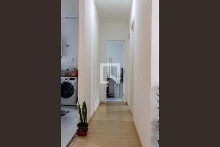 Corredor de apartamento para alugar com 2 quartos, 46m² em Jardim Pioneira, Cotia