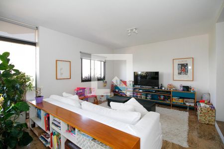 Sala de Tv de apartamento para alugar com 3 quartos, 260m² em Vila Madalena, São Paulo