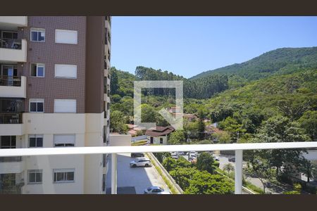 Quarto 1 - Vista de apartamento para alugar com 3 quartos, 83m² em Itacorubi, Florianópolis