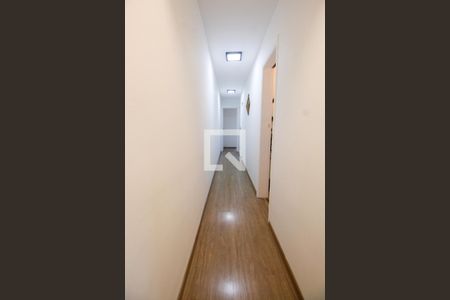 Corredor de apartamento para alugar com 2 quartos, 55m² em Jardim Colombo, São Paulo