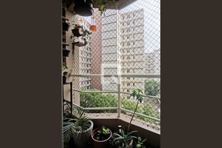 Varanda de apartamento para alugar com 2 quartos, 70m² em Jardim Iris, São Paulo