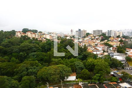 Vista/Quarto 1 de apartamento à venda com 2 quartos, 54m² em Jardim Monte Alegre, Taboão da Serra