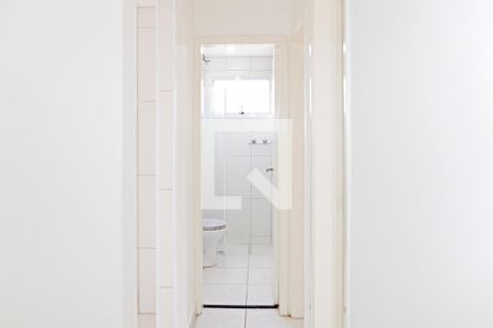 Corredor de apartamento para alugar com 2 quartos, 52m² em Vila Santa Claudina, Vinhedo