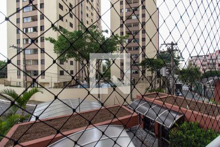 Varanda da Sala - Vista de apartamento para alugar com 3 quartos, 70m² em Cambuci, São Paulo