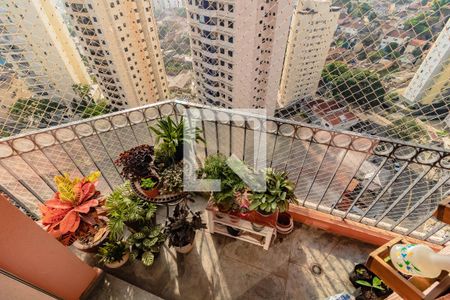 Apartamento à venda com 3 quartos, 79m² em Chácara Inglesa, São Paulo