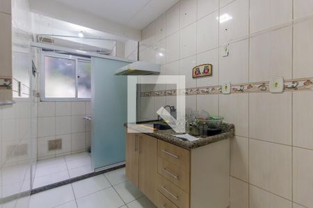 Cozinha de apartamento à venda com 3 quartos, 58m² em Vila Mendes, São Paulo