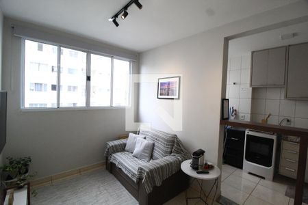 Sala de apartamento para alugar com 2 quartos, 54m² em Patrimônio, Uberlândia