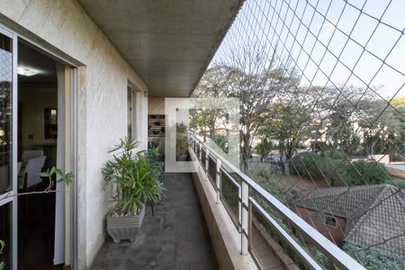 Varanda sala 1 de apartamento à venda com 4 quartos, 245m² em Santa Amelia, Belo Horizonte