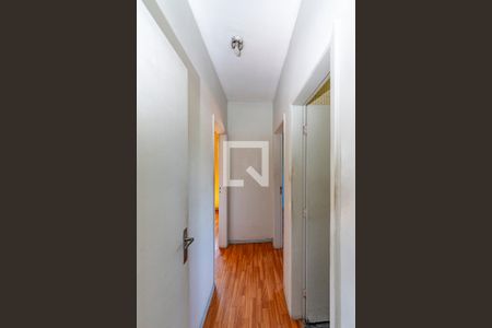 Corredor de apartamento para alugar com 2 quartos, 86m² em Jardim Montanhês, Belo Horizonte