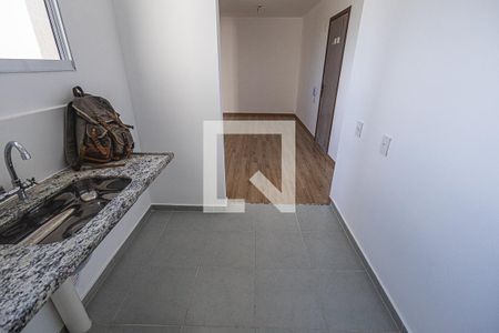 Cozinha de apartamento para alugar com 2 quartos, 43m² em Juliana, Belo Horizonte