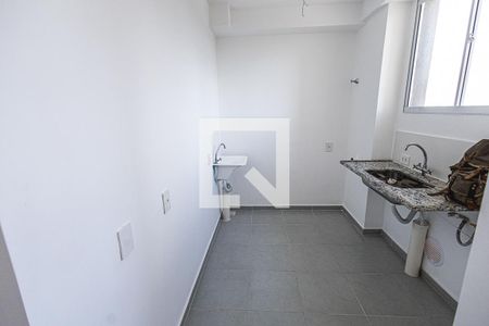 Cozinha de apartamento para alugar com 2 quartos, 43m² em Juliana, Belo Horizonte