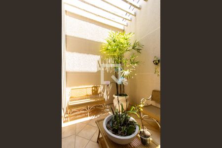 Jardim interno de casa à venda com 5 quartos, 328m² em Parque Alto Taquaral, Campinas