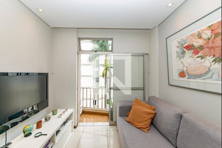 Sala de apartamento à venda com 3 quartos, 80m² em Cidade Jardim, Belo Horizonte