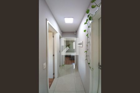 Corredor de apartamento à venda com 3 quartos, 60m² em Jardim Paranapanema, Campinas