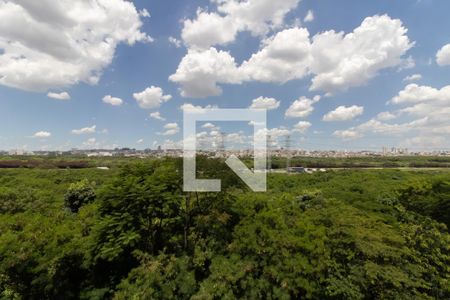 Vista da Sala de apartamento para alugar com 2 quartos, 45m² em Vila Florida, Guarulhos