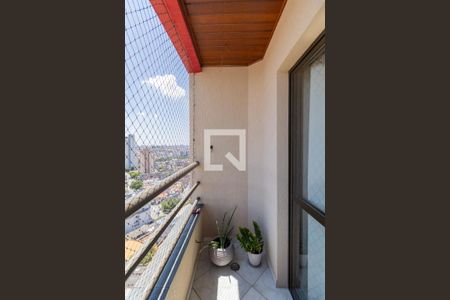 Varanda Sala  de apartamento para alugar com 3 quartos, 84m² em Vila Nova Savoia, São Paulo