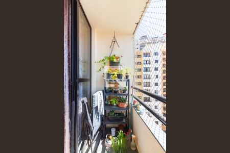 Sala  de apartamento para alugar com 2 quartos, 54m² em Jaguaribe, Osasco