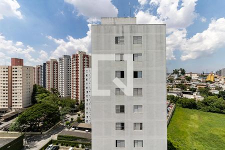 Vista do Quarto 1 de apartamento para alugar com 2 quartos, 54m² em Jardim Celeste, São Paulo