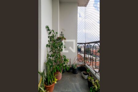 Sala - Varanda de apartamento à venda com 2 quartos, 54m² em Vila das Belezas, São Paulo