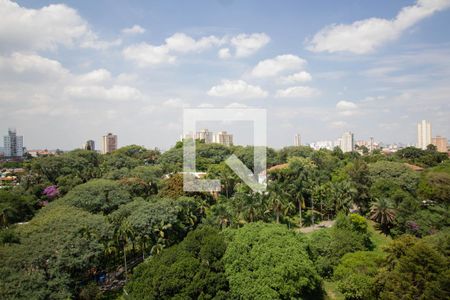 Vista Quarto 1 de apartamento para alugar com 2 quartos, 37m² em Vila Pirituba, São Paulo