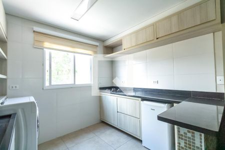 Cozinha e Área de Serviço de kitnet/studio para alugar com 1 quarto, 33m² em Parque Sao Diogo, São Bernardo do Campo