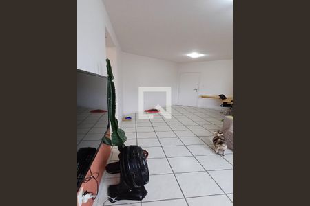 Sala de apartamento para alugar com 1 quarto, 57m² em Kobrasol, São José