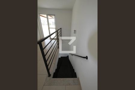 escada cobertura de apartamento para alugar com 2 quartos, 188m² em Cinquentenario, Belo Horizonte