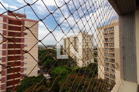 Sacada/Sala/Vista de apartamento à venda com 3 quartos, 75m² em Bonfim, Campinas