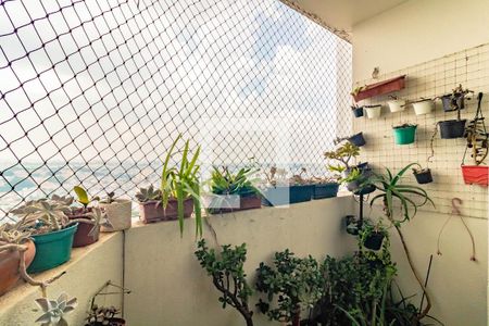 Varanda - Sala de apartamento para alugar com 2 quartos, 52m² em Vila Mascote, São Paulo