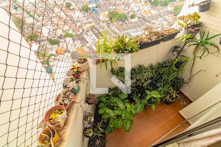 Varanda - Sala de apartamento para alugar com 2 quartos, 52m² em Vila Mascote, São Paulo