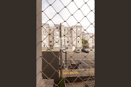 Vista da Sala de apartamento para alugar com 2 quartos, 44m² em Jardim São Gabriel, Campinas