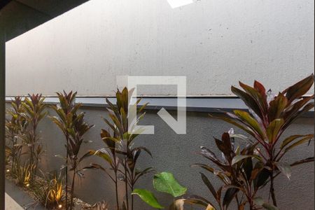 Vista da Suíte de casa à venda com 3 quartos, 150m² em Jardim Ipaussurama, Campinas