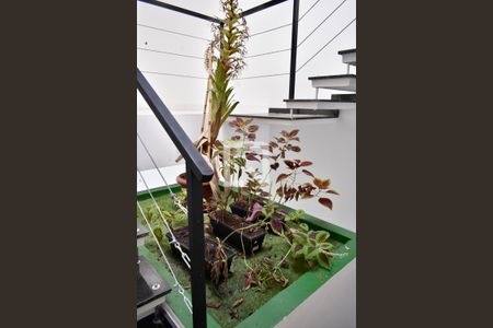 Escada (Jardim) de casa à venda com 3 quartos, 175m² em Chácara Inglesa, São Paulo