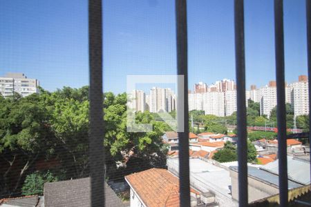 Vista do Quarto de casa para alugar com 1 quarto, 40m² em Piqueri, São Paulo