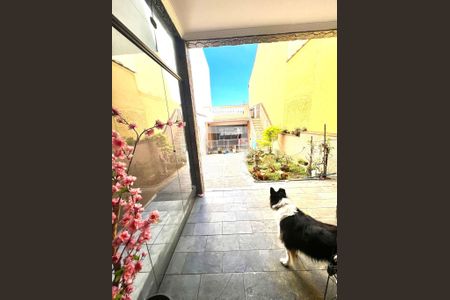 Quintal de casa à venda com 3 quartos, 178m² em Vila Tibiriçá, Santo André