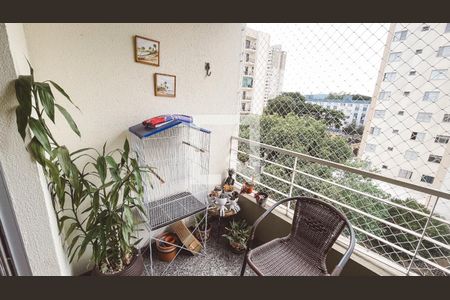 Varanda da Sala de apartamento à venda com 3 quartos, 60m² em Vila Amélia, São Paulo