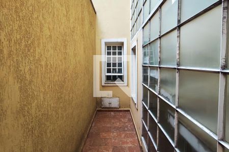 Área de Luz de casa à venda com 3 quartos, 267m² em Parque Via Norte, Campinas