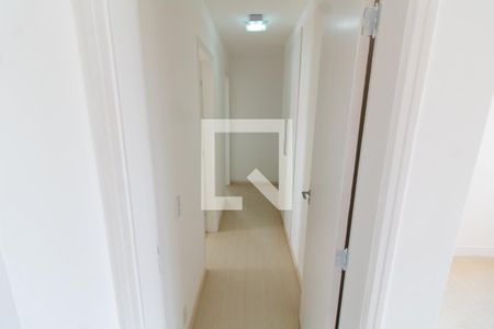Corredor de apartamento para alugar com 4 quartos, 256m² em Vila Brandina, Campinas