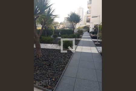 Área Externa de kitnet/studio para alugar com 1 quarto, 35m² em Vila Madalena, São Paulo