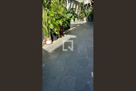 Kitnet/Studio para alugar com 3 quartos, 50m² em Glória, Belo Horizonte