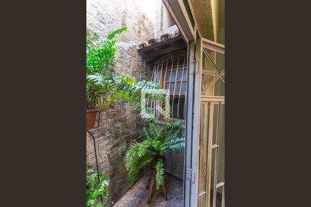 Jardim de Inverno na Sala 1 de casa à venda com 4 quartos, 321m² em Pompéia, Belo Horizonte